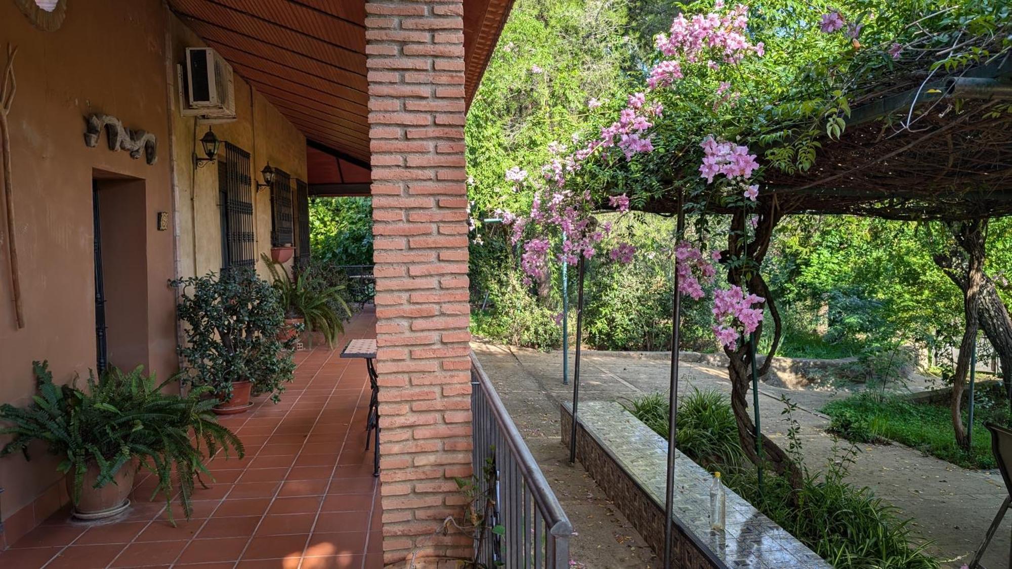 Villa Cortijo Zalamea Zalamea la Real