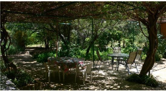 Cortijo Zalamea